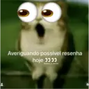 Patu 10