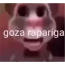 Patu 13