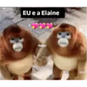 Patu 20