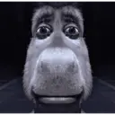 Nose 3