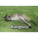 Plesetan lucu 6