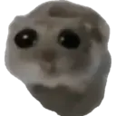Kkkk vo me mata 11