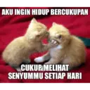 Meme bucin 14