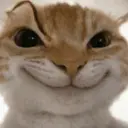 😸 MOODS DE ANIMALITOS 🐶 15