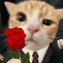 😸 MOODS DE ANIMALITOS 🐶 9