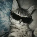 😸 MOODS DE ANIMALITOS 🐶 13