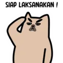 Stiker Kucing 1 7