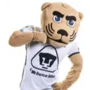 Pumas!!!! 1