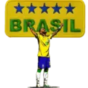 Vai Brasil 6