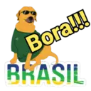 Vai Brasil 12