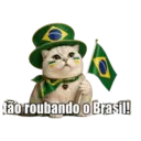 Vai Brasil 13