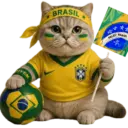 Vai Brasil 14