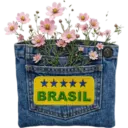 Vai Brasil 22