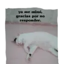 Stikers 1