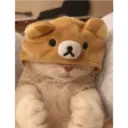Gatto carino 5