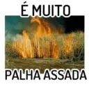 Aleatório  11