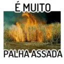 Aleatório  12