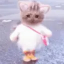 Kitty cat 1