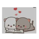 Kitty cat 14