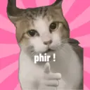 Kitty cat 20