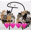 Kitty cat 21