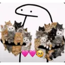 Kitty cat 23
