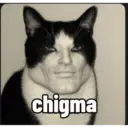 Kitty cat 26