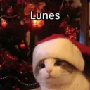 Lunes 😎 1