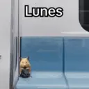 Lunes 😎 2