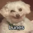 Lunes 😎 5