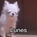 Lunes 😎 13