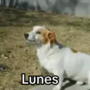 Lunes 😎 14