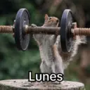 Lunes 😎 15