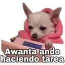 Mio jsjsjs 6