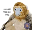 Mio jsjsjs 7