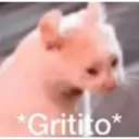 Mio jsjsjs 11