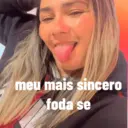Minhas figurinhas 3