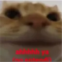 Memes random 🧐 8