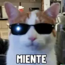 Memes random 🧐 15