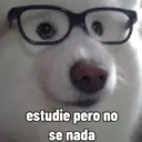 Memes random 🧐 16