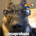 Memes random 🧐 17