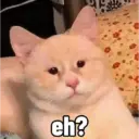 Memes random 🧐 23