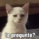 Memes random 🧐 24
