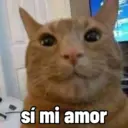 Memes random 🧐 25