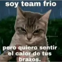 😻 MICHIS RANDOMS 3 😸 3