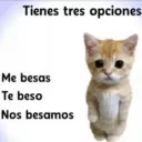 😻 MICHIS RANDOMS 3 😸 4