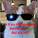 😻 MICHIS RANDOMS 3 😸 5