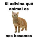 😻 MICHIS RANDOMS 3 😸 7
