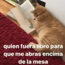 😻 MICHIS RANDOMS 3 😸 8