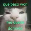 😻 MICHIS RANDOMS 3 😸 12